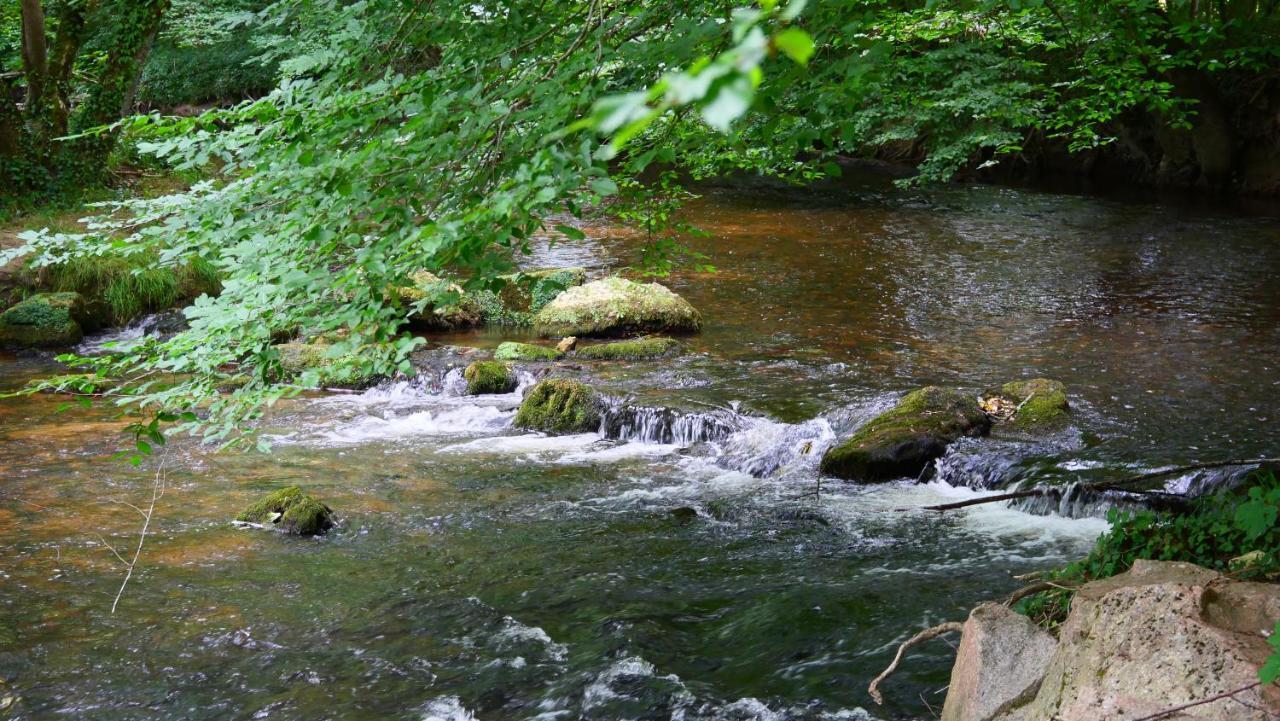 Les Chalets Du Moulin De Valade Condat-sur-Trincou Dış mekan fotoğraf